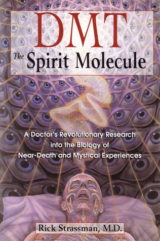 Consciousness and Spirituality Book